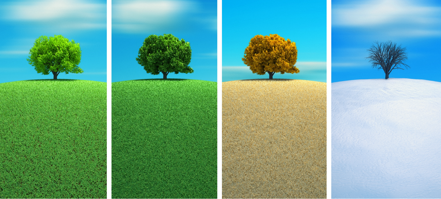 Seasonality in Travel and How to Maximize the Revenue Opportunity