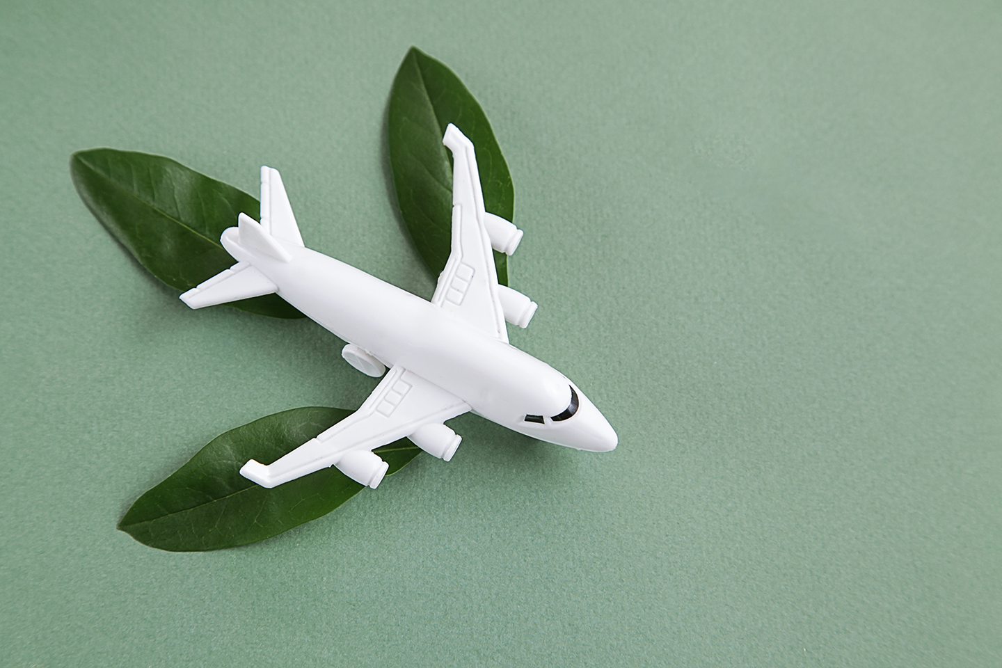 Sustainability in General Aviation